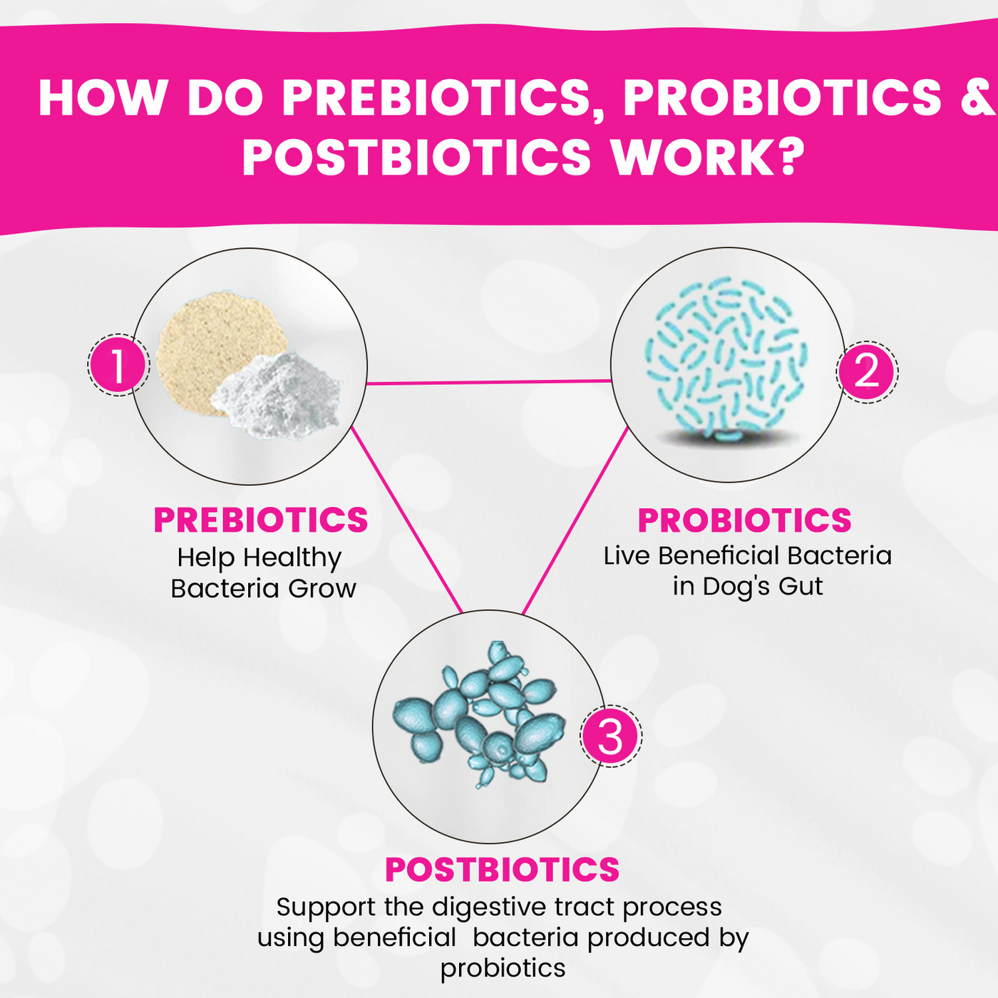 Digestive Support <br>Prebiotics, Probiotics & Postbiotics