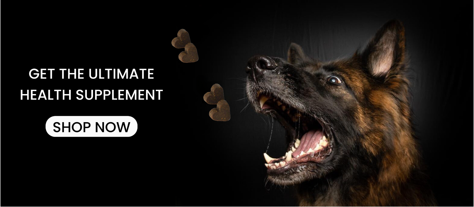 Paaws sales dog vitamins